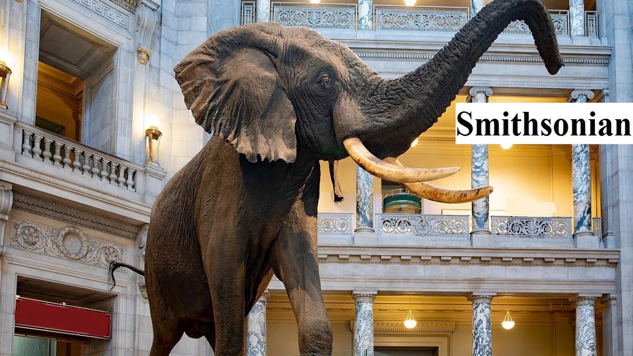Smithsonian museums in Washington D.C. hold 138 million items !!!