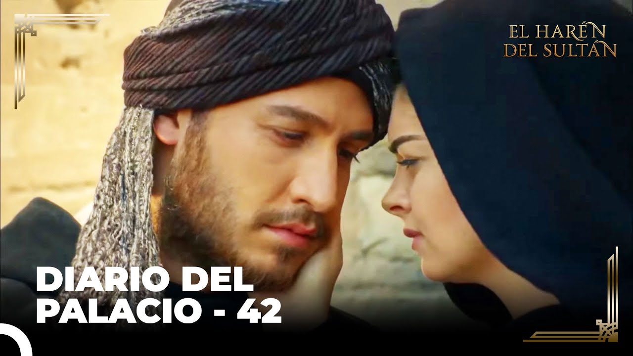 Hicimos Un Plan De Escape Con Pedro