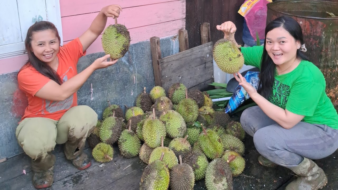 Jaga Durian tebus pagi‼️