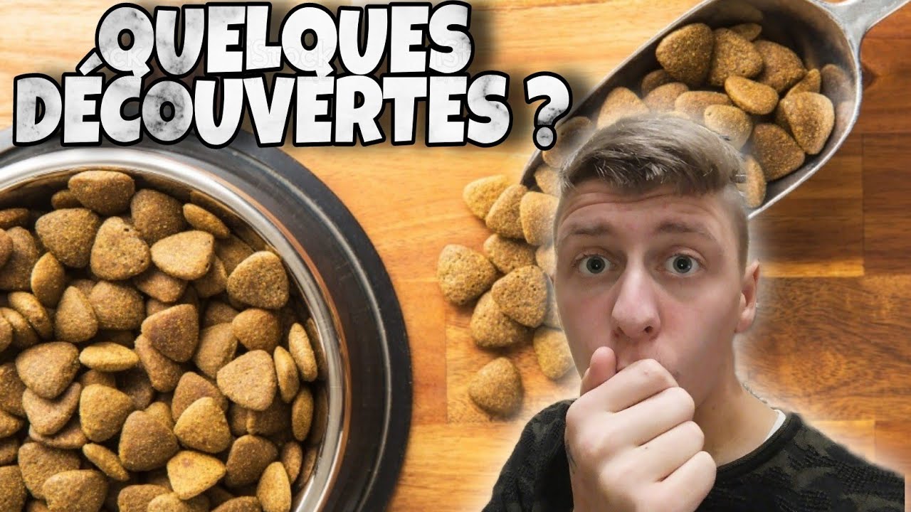 TOP 10 DES MEILLEURS CROQUETTES SANS CÉRÉALES 👑