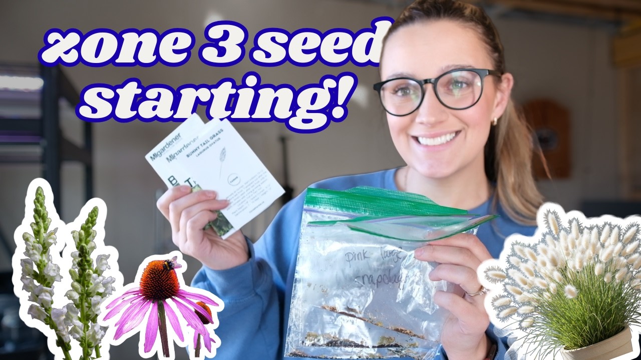 Zone 3 Garden -  Cottage Garden Seeds (Snap Dragons, Ornamental Grasses, Foxglove and more!)
