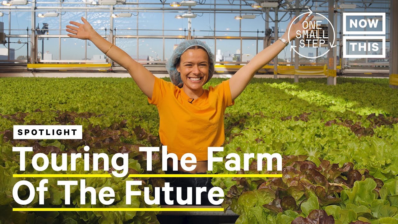 Meet Viraj Puri, CEO and Co-Founder of Gotham Greens | One Small Step