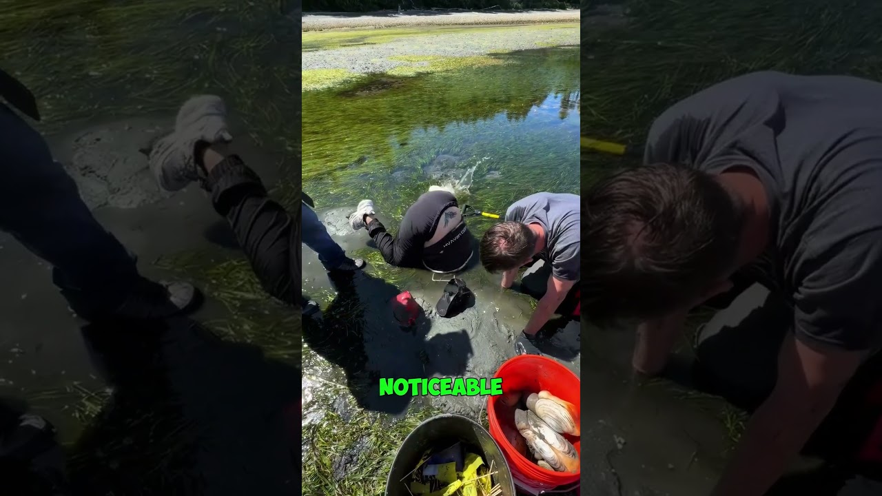 Person STUCK Upside Down In Mud 