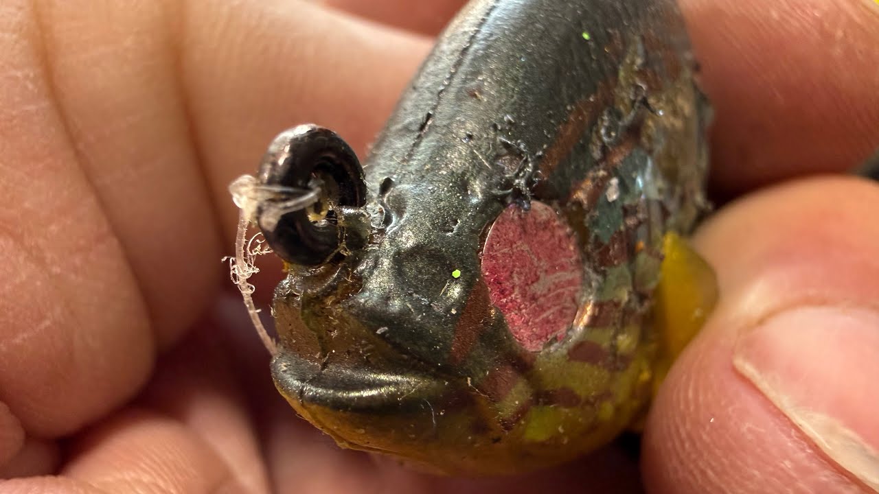 The Only Lure A Bass Will Actually Try To Kill&hellip;
