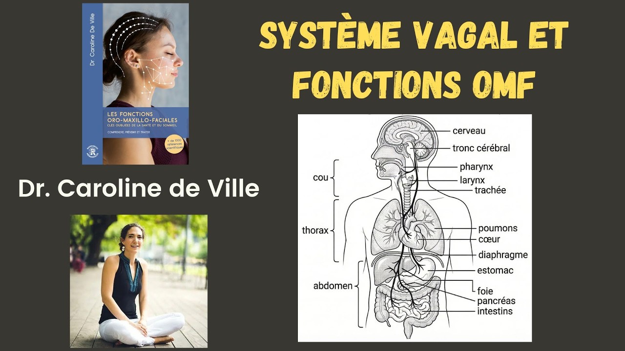 Système vagal et fonctions oro-maxillo-faciales (OMF)