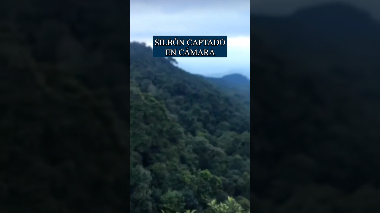 Silbon captado en c&aacute;mara 😰💀 (sonido real)