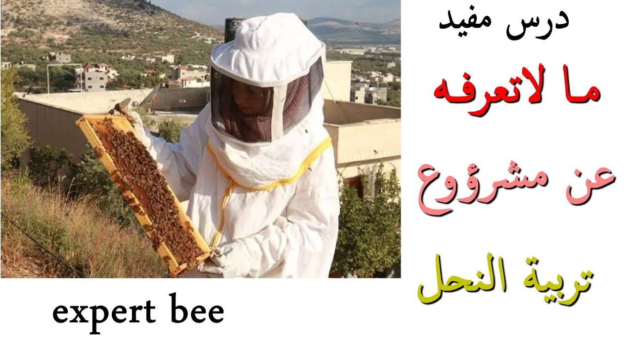 ما لاتعرفه عن مشروع تربية النحل