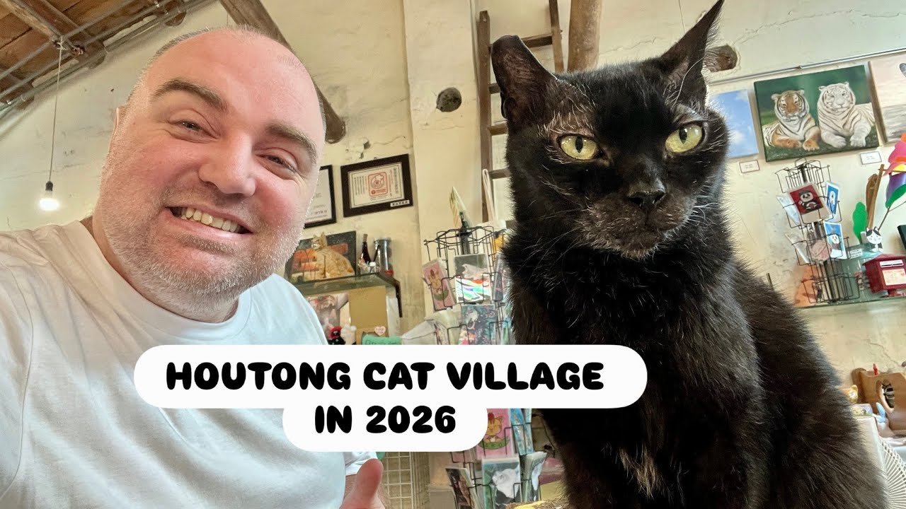 Кошачья деревня Хоутун 2026 | Знаменитый кошачий городок Тайваня и тур по кошачьим кафе