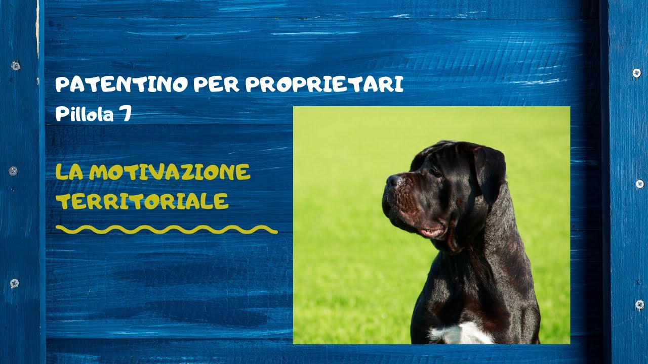 Pillola 8 - La Motivazione Territoriale