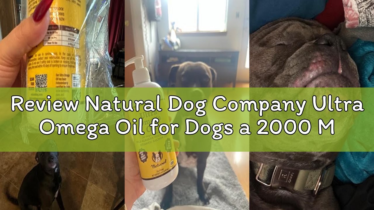 Review Natural Dog Company Ultra Omega Oil for Dogs a 2000 MG Omega 3, 6, 9 with Salmon, Pollock & F