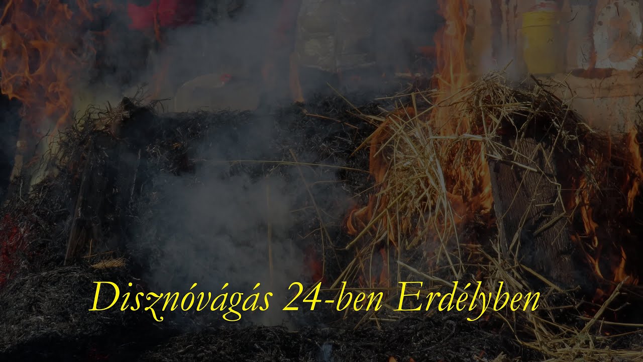 Disznóvágás 24-ben Erdélyben