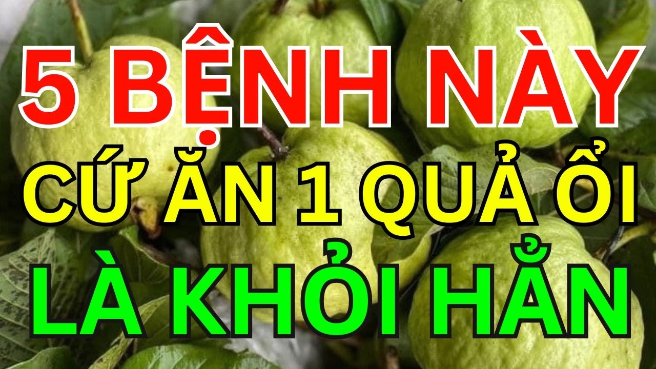 BS Dặn 5 BỆNH NÀY CỨ ĂN 1 QUẢ ỔI 