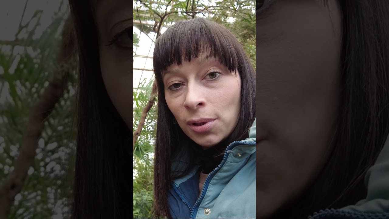 Тропики в Москве/Оранжерея/#ботаническийсад #кудапойтивмоскве