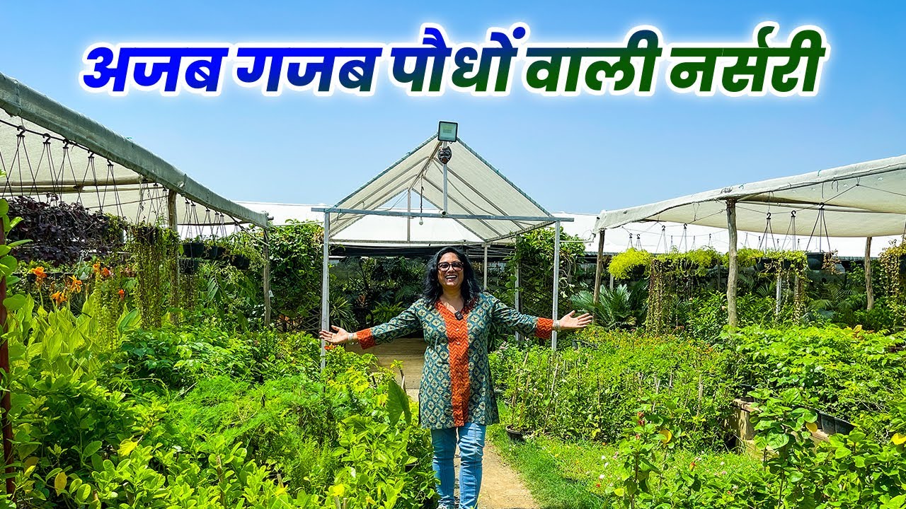 यहाँ मिलते है अजब गज़ब पौधे 😯 Biggest Rare Plant Nursery 🪴 दुर्लभ पौधों की भरमार