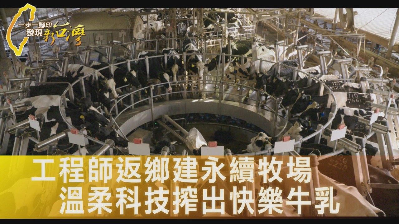 酪農夫獸醫妻 用數據.善意養快樂牛 建永續牧場∣一步一腳印【牧場夫妻革新的擔當】20260208