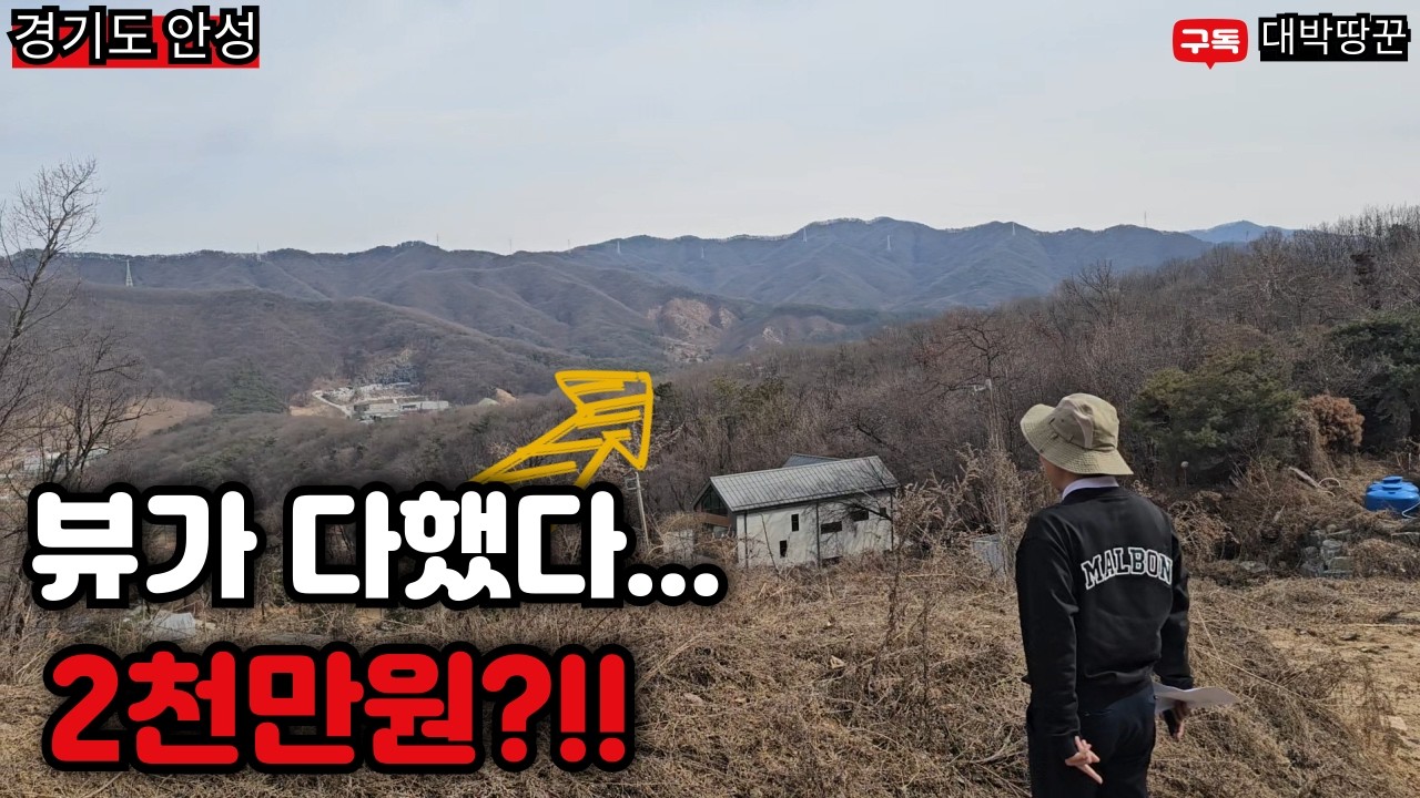 경기도 안성 계획관리 반의반값 경매 2000만원으로 누리는 뷰 맛집 116평 토지 땅 경매는 대박땅꾼 함정도 있으니 참고하세요#토지#강의#부동산#재테크#땅#농지연금#경매#