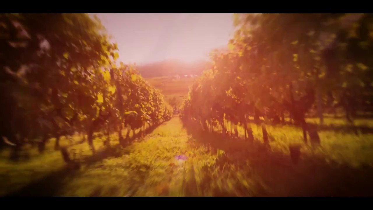 Vinum Montis - D&eacute;butez une exp&eacute;rience unique