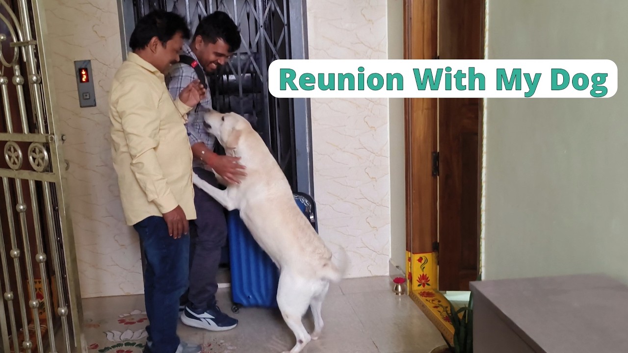 Reunion With My Dog Back to Visakhapatnam
