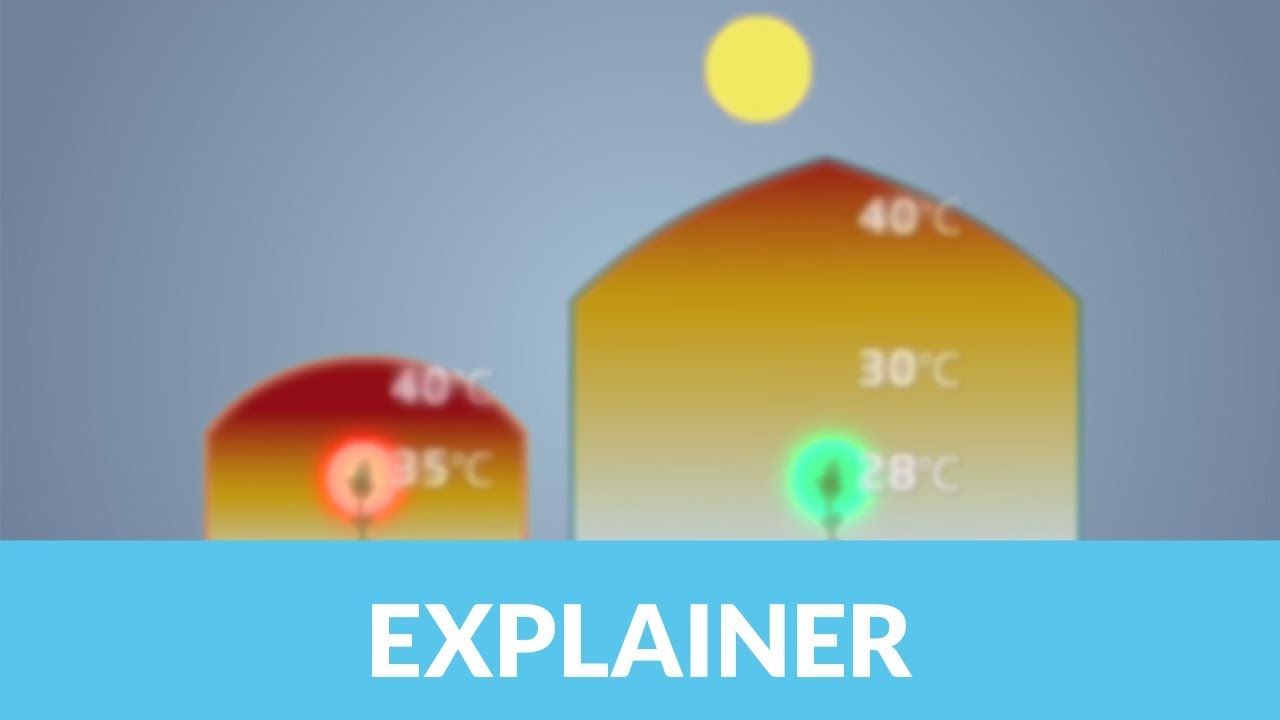 Richel More volume - English