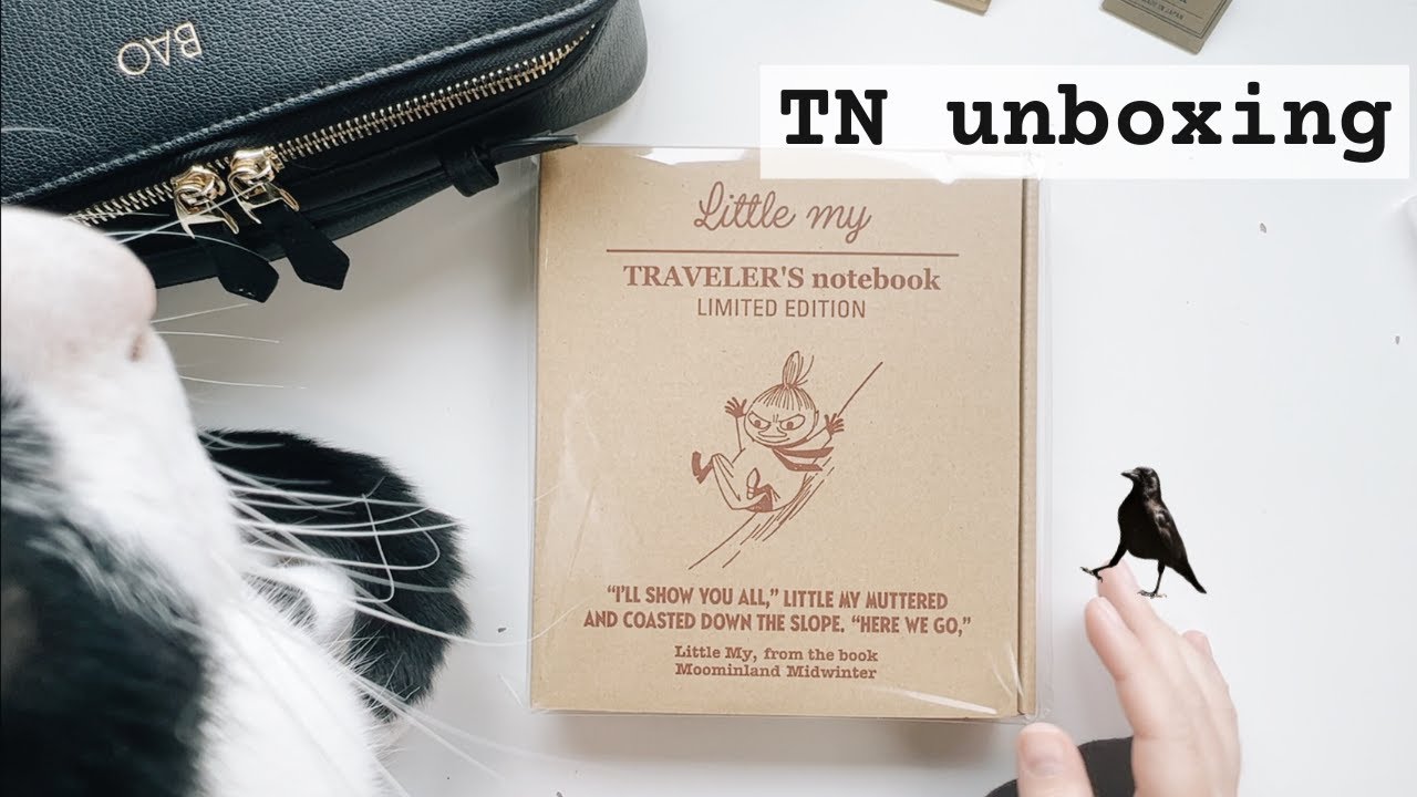 Unboxing my Traveler's Notebook Passport Special Edition Moomin | #travelersnotebook