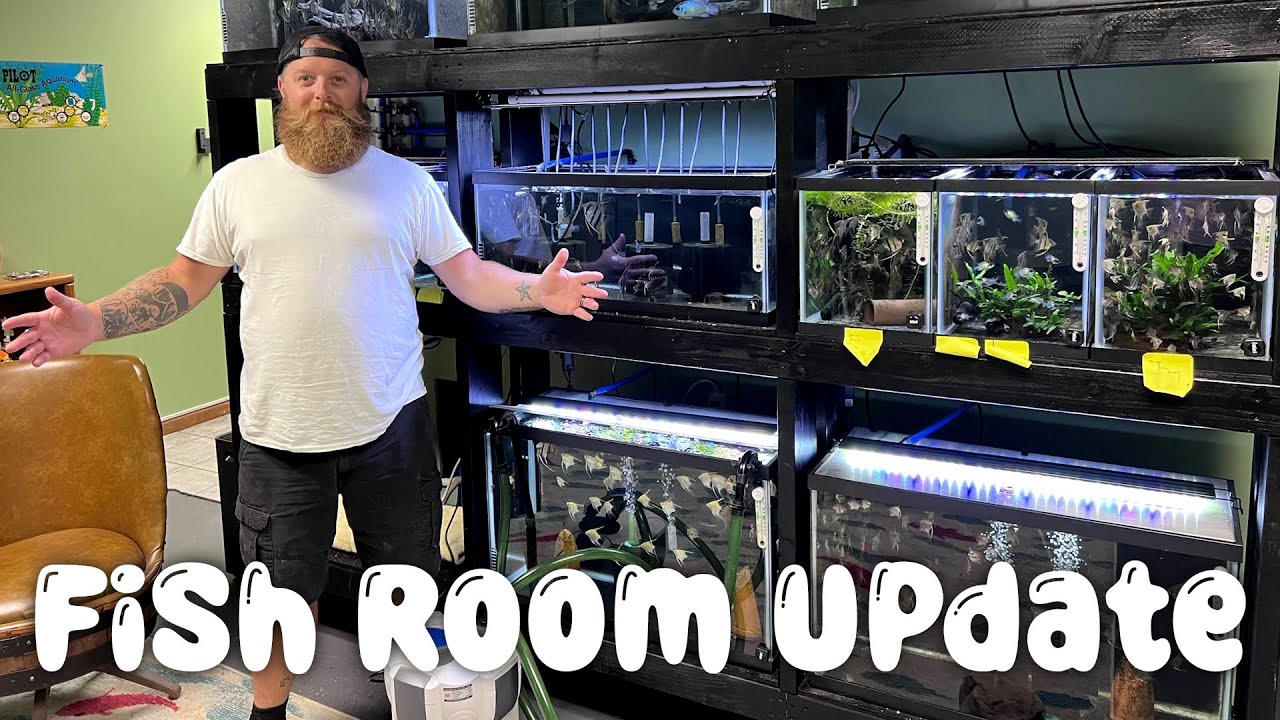 Fish room Tour + Cleanup Fall Update