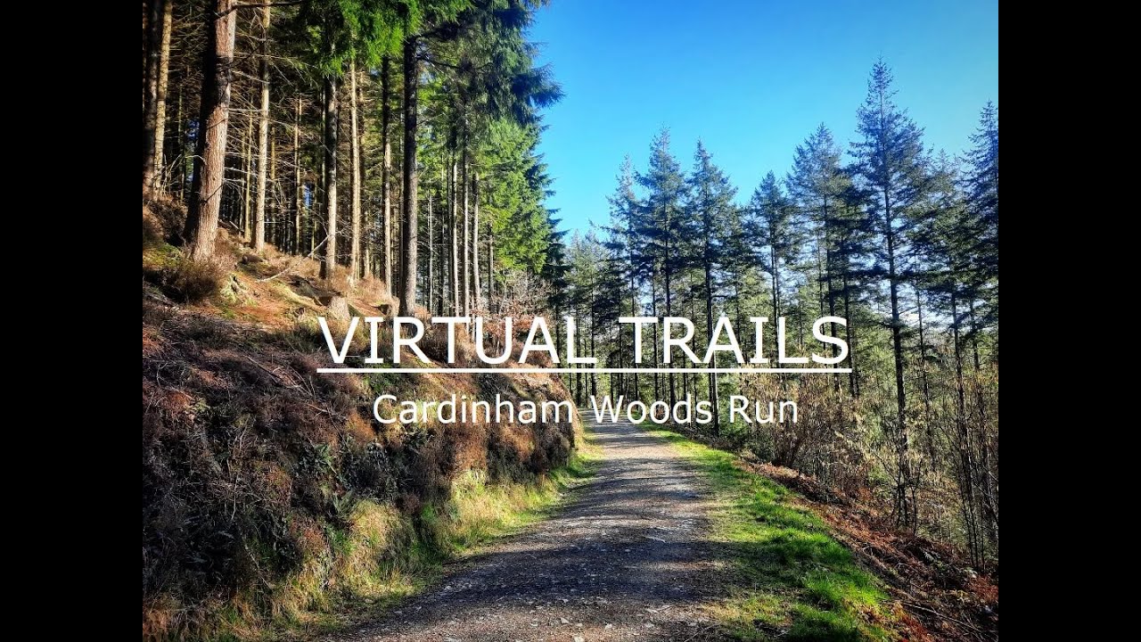 Treadmill Workout Virtual Trail Run |  Cardinham woods Cornwall | Trail Running Scenery | 4K |