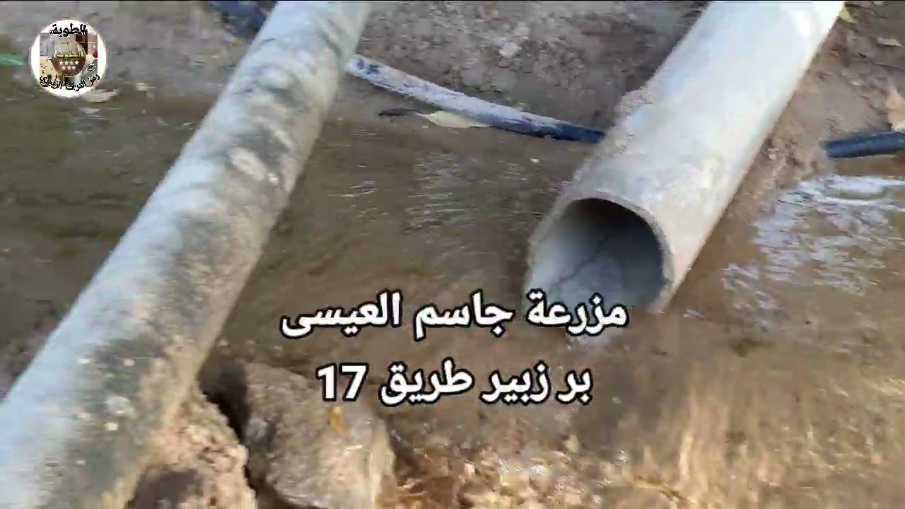 تراث اهل زبير .تقرير عن مزرعة جاسم العيسى. ت ٩/١٠/٢٠٢١ السبت في طريق ١٧ ولقاء مع ابو عيسى العيسى