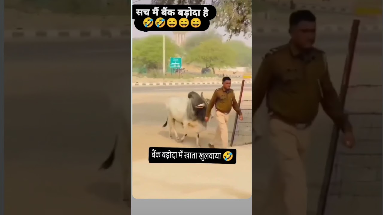 Bank of Baroda mein khata khulva yo song trending video 📸