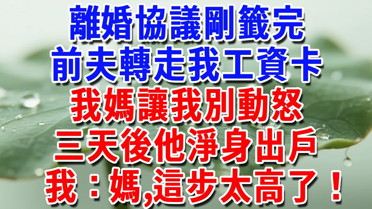 離婚協議剛籤完，前夫轉走我工資卡，我媽讓我別動怒，三天後他淨身出戶  我：媽，這步太高了#一帆說故事 #為人處世 #生活經驗 #情感 #故事 #彩礼#深夜淺讀