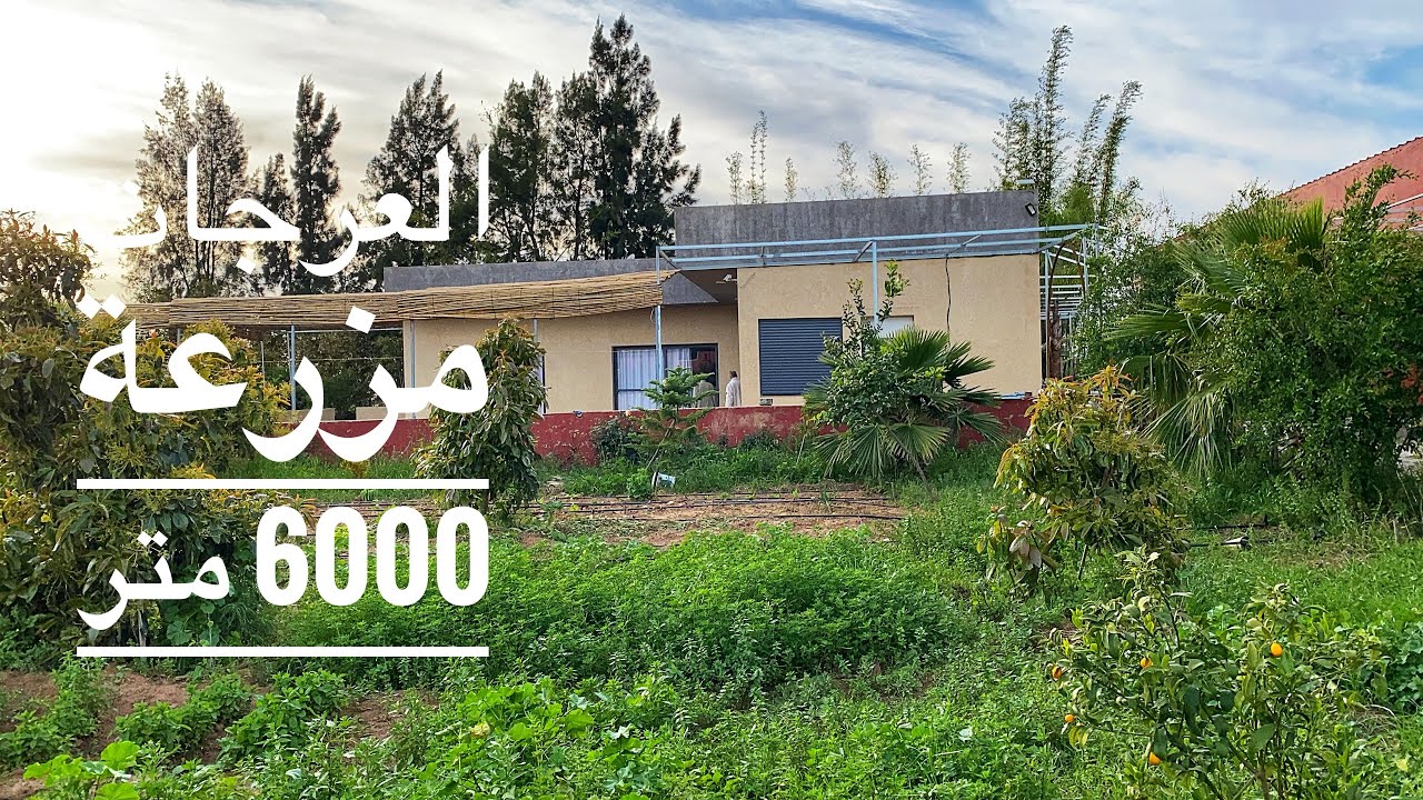 10 دقيقة من سلا. الجديده العرجات مزرعه محفظه مساحتها 6000 م تمن 380 مليون  روبريز ممكن212661247058
