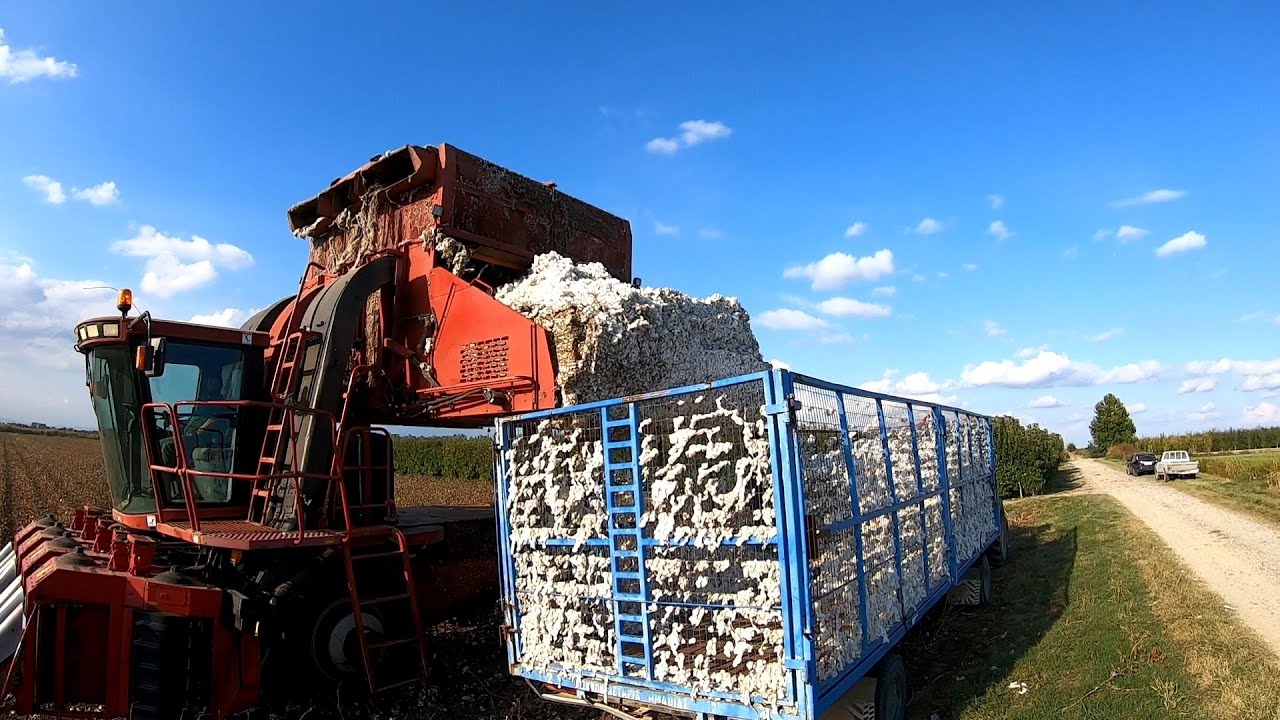 Συγκομιδή βαμβακιού με Case 2555 (Δεύτερο χέρι) Second hand harvesting with Case 2555