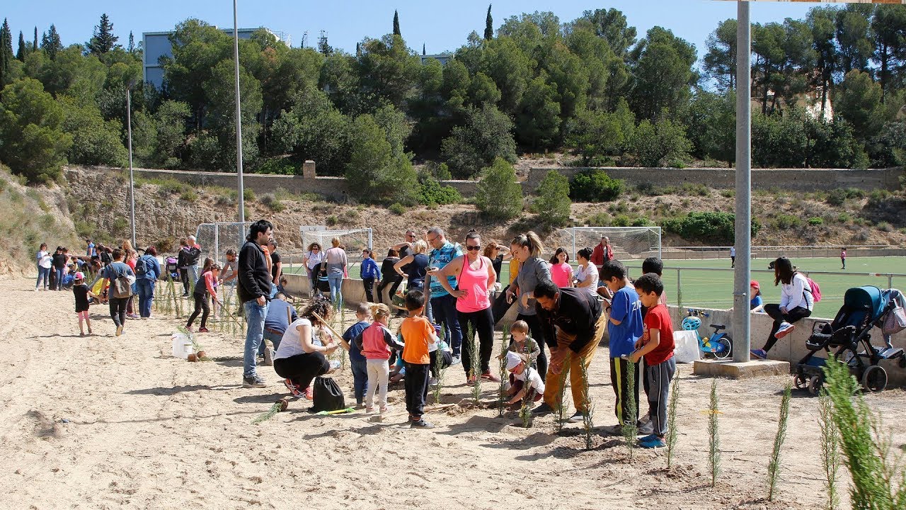 Festa de l'Arbre de Roquetes 2019, 4a edició.