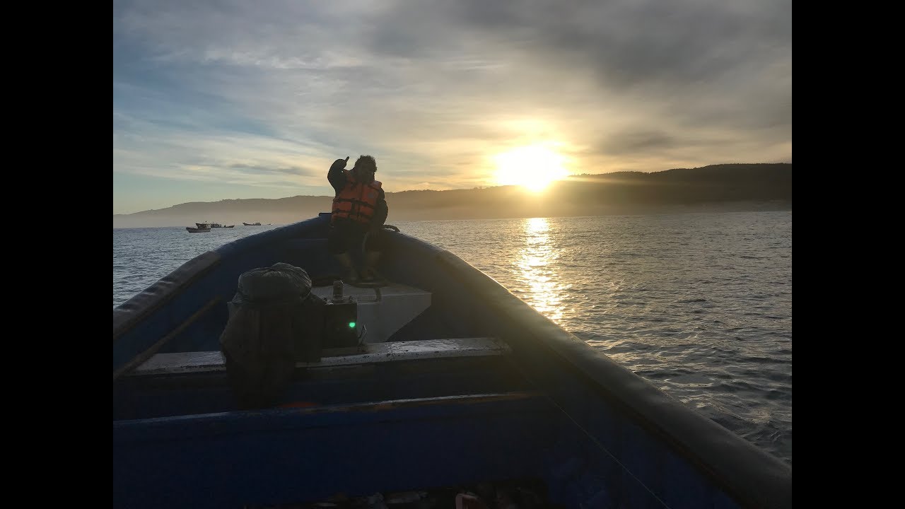 TEMPORADA DE JIBIA 2019 l DUAO V l Caleta Duao