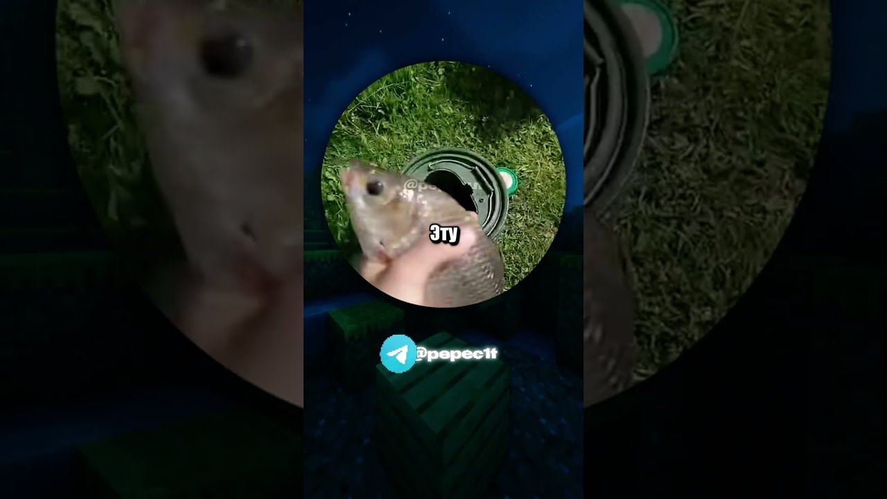 #мемы #юмор #шортс