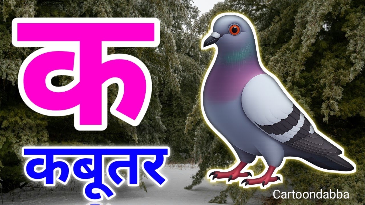 क से कबूतर,अ से अनार a se anaar k se kabutar | Hindi varnmala ABCD क से‌ कबूतर अ से अनार, for kids 7