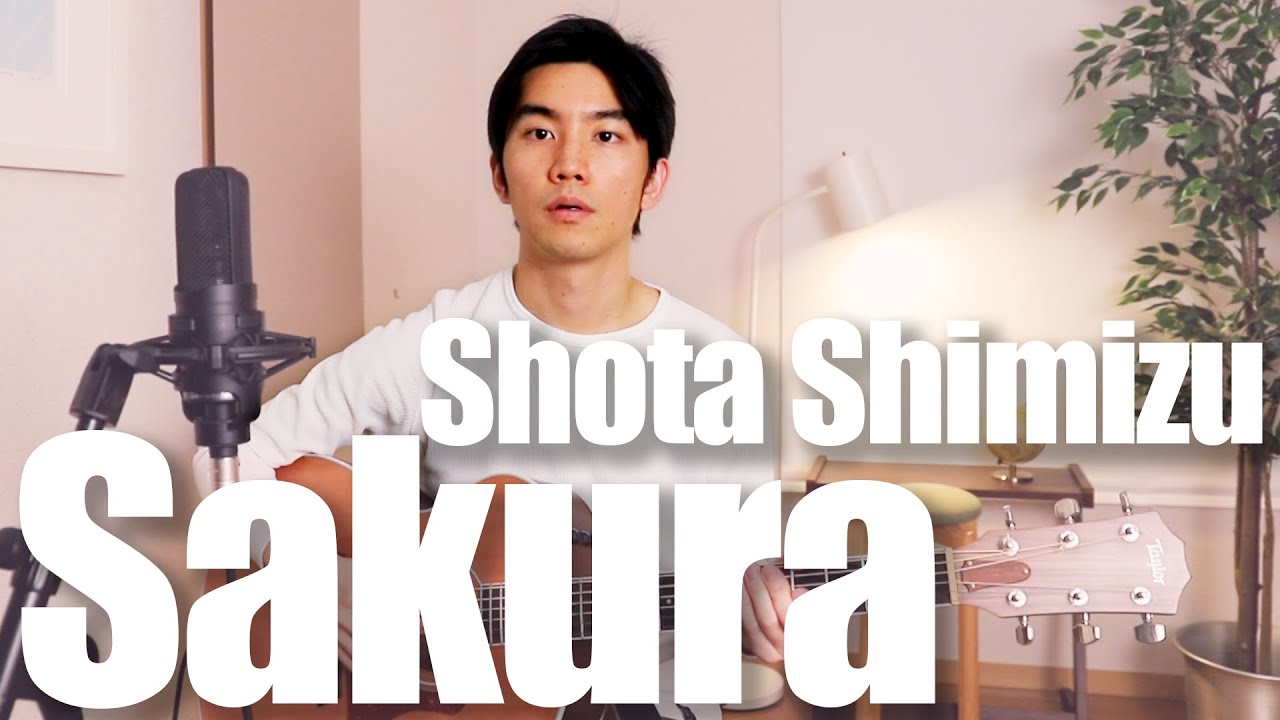 Sakura (Shota Shimizu) Cover【Japanese Pop Music】