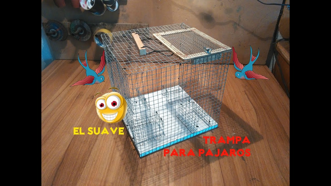 JAULA TRAMPA PARA CAZAR PÁJAROS