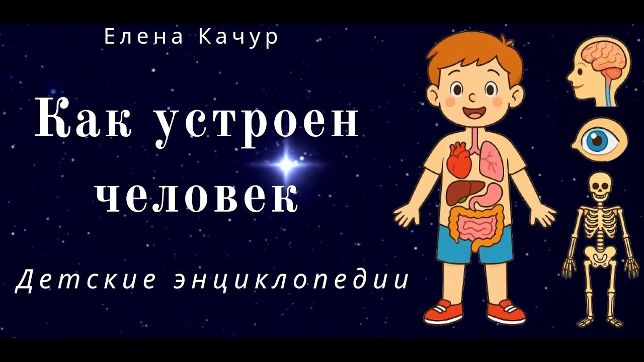 Как устроен человек. Детская энциклопедия. Интересные факты и простые объяснения для детей (7+)