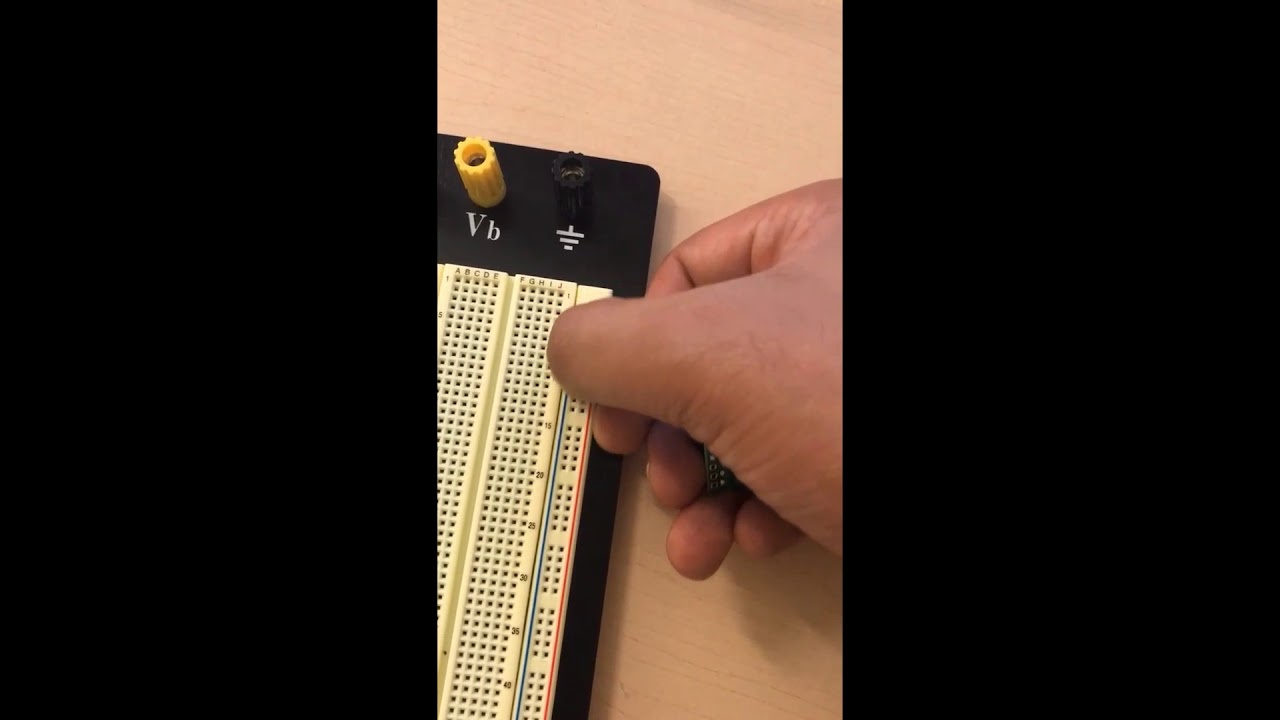 Video 3 EspoTek Labrador