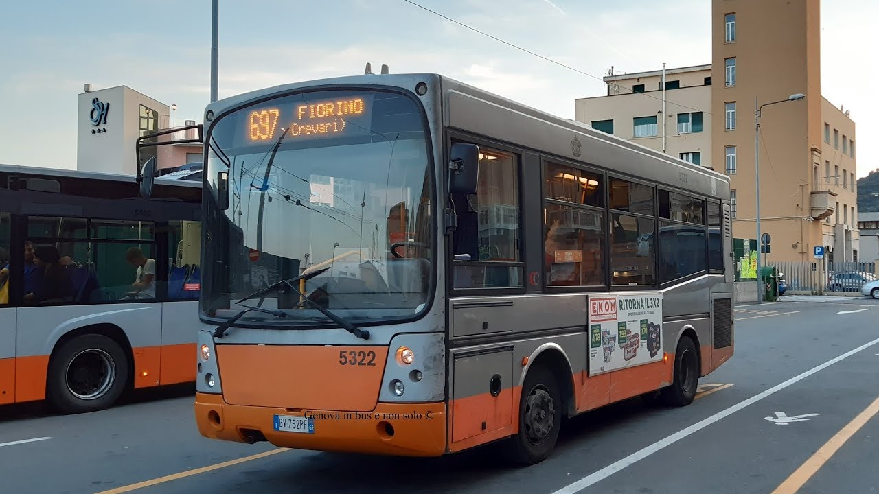 AMT 5322 - Il piccolo Grifone 