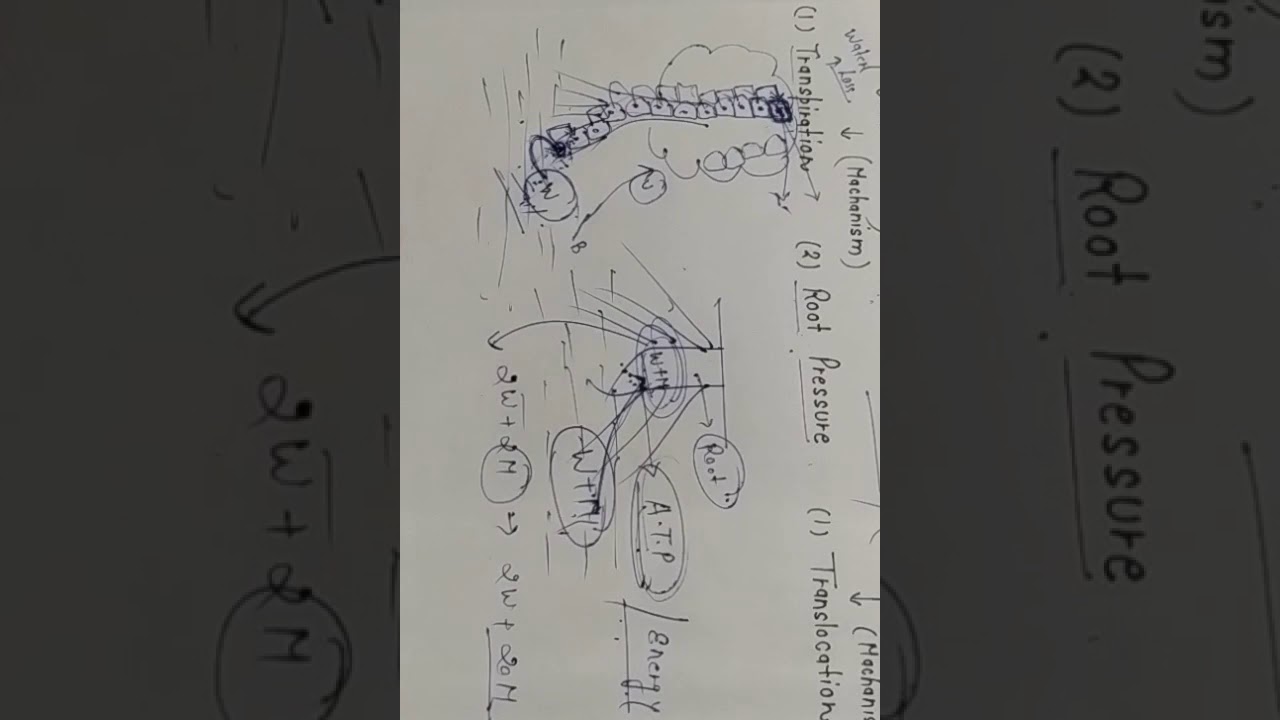 Class-10, Transportation in plants...