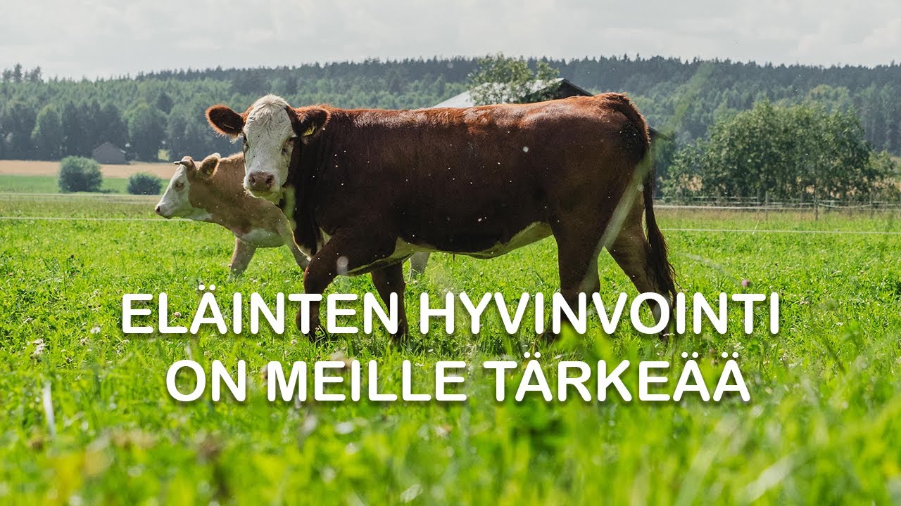 Eläinten hyvinvointi on meille tärkeää