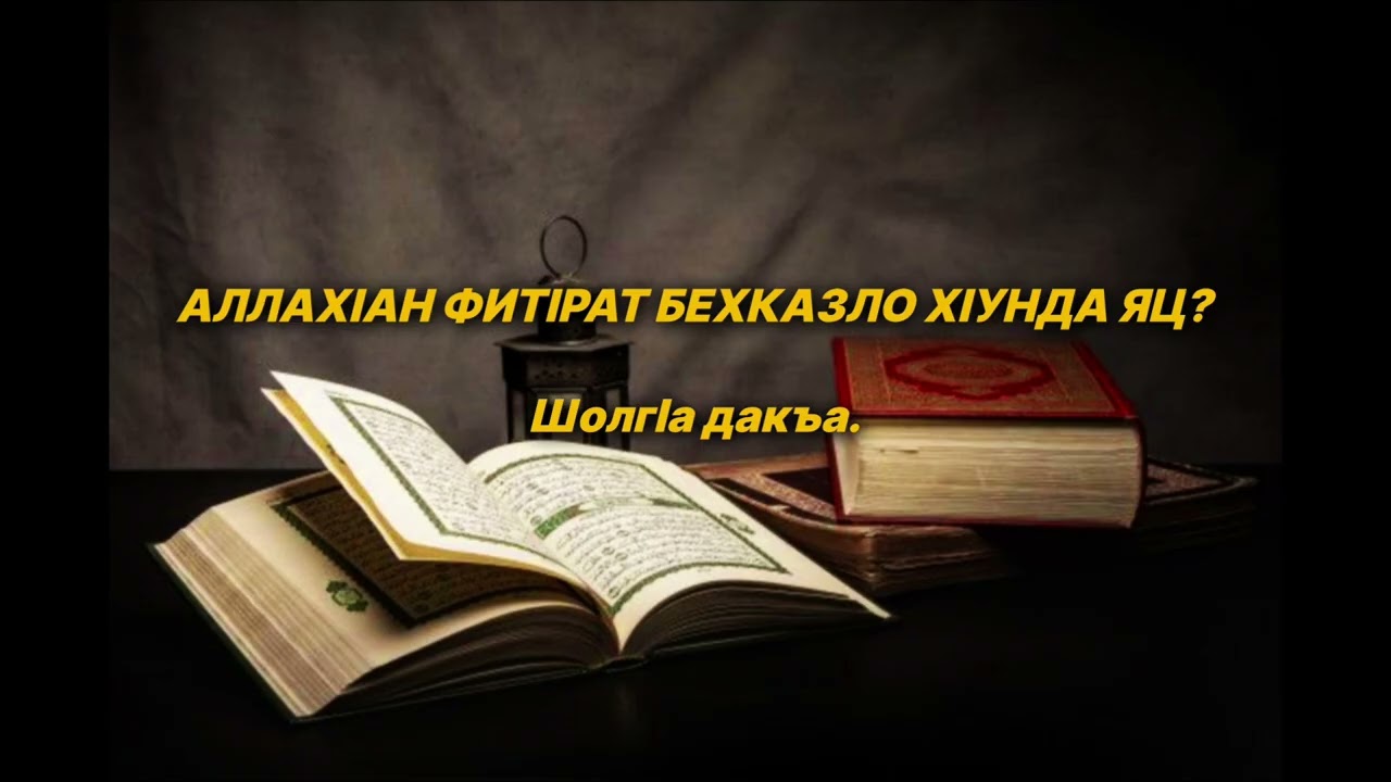 Шейх lели | Аллахlан Фитlрот, Бехказло хlунда яц? Шолгlа дакъа.
