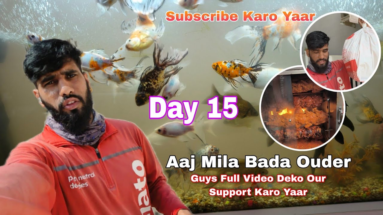 #Zomato#bahut #bahut #hi bada order #Mila mujhe#