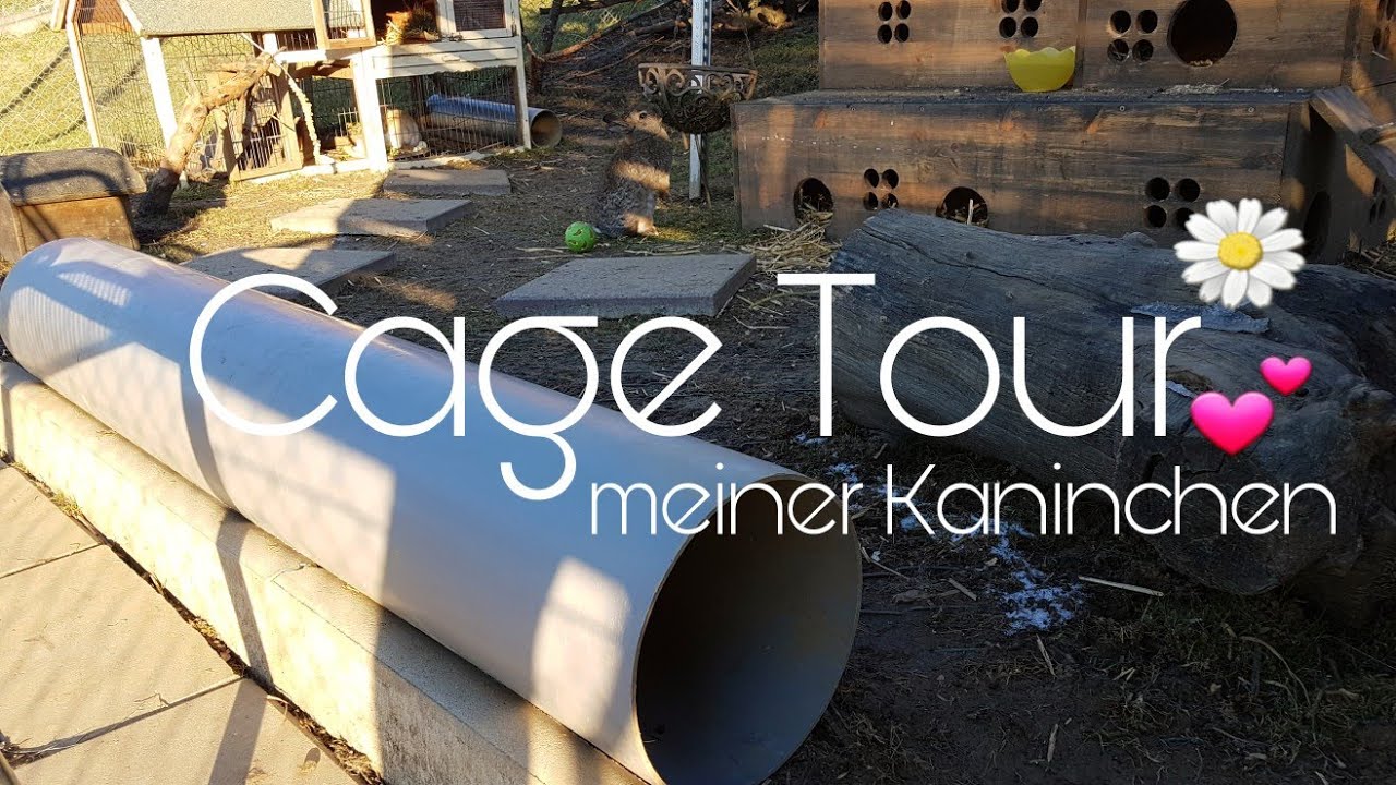 Kaninchen Cage Tour 🐇💐|VanessasColoredlife