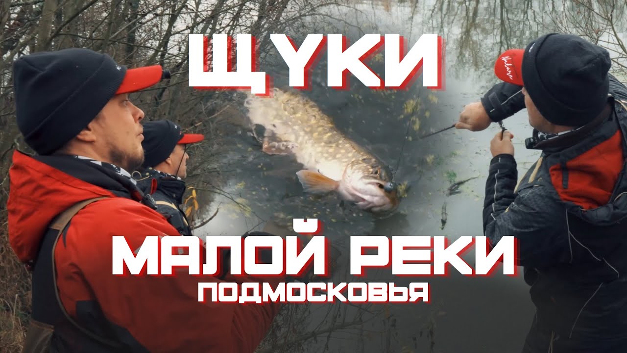 ЩУКИ малой реки Подмосковья. Ловля спиннингом с берега поздней осенью
