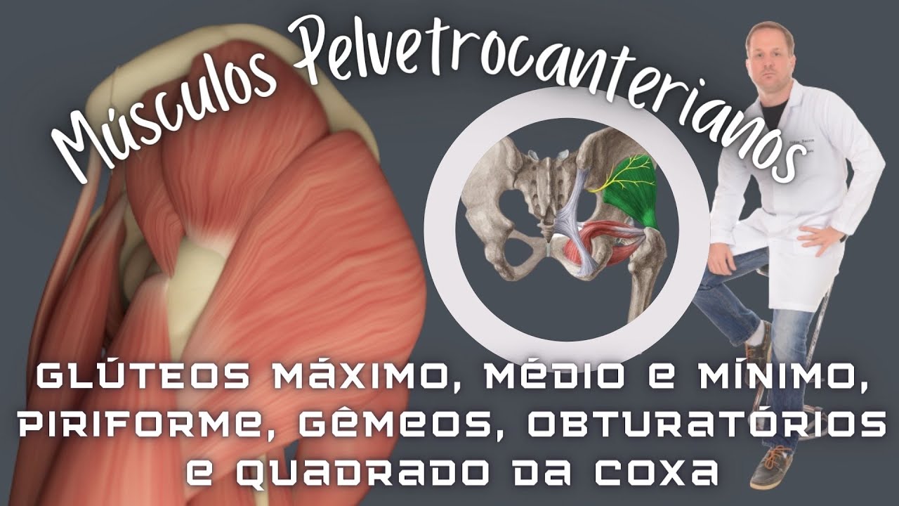 Músculos Pelvetrocanterianos: Glúteos, Piriforme, Obturadores, Gêmeos quadrado da coxa.