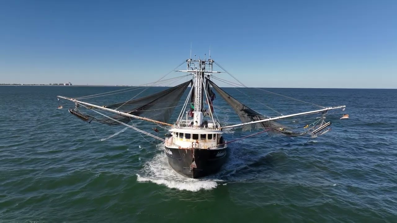 Fishing boat Sebastian's Pride fishing off New Smyrna Beach Florida 🎣☀️ #Fishing #Boat 