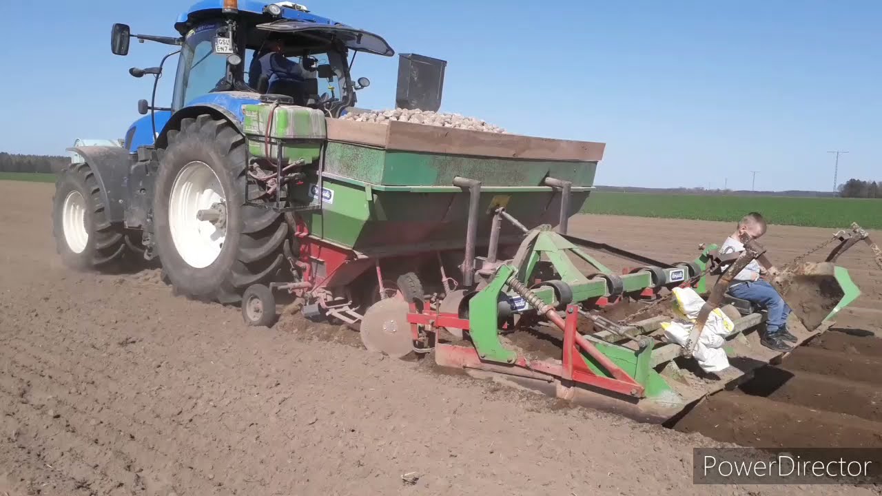 Sadzenie ziemniaków🥔 Uprawa#4 & Wyciąganie kamieni🤠🚜🚜