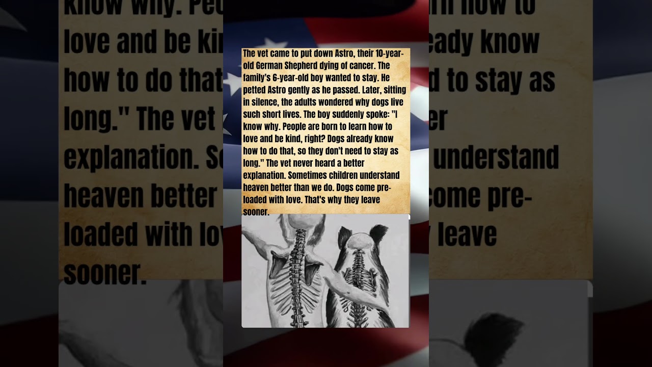The 6-Year-Old’s Wisdom That Silenced a Vet